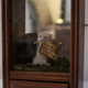 Image for article titled Don't Pierce The Shitbag: Adventures in Taxidermy